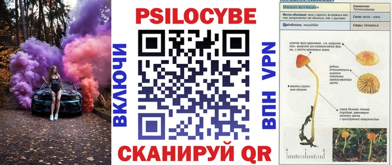 даркнет сайт  Валдай  Галлюциногенные грибы прущие грибы 